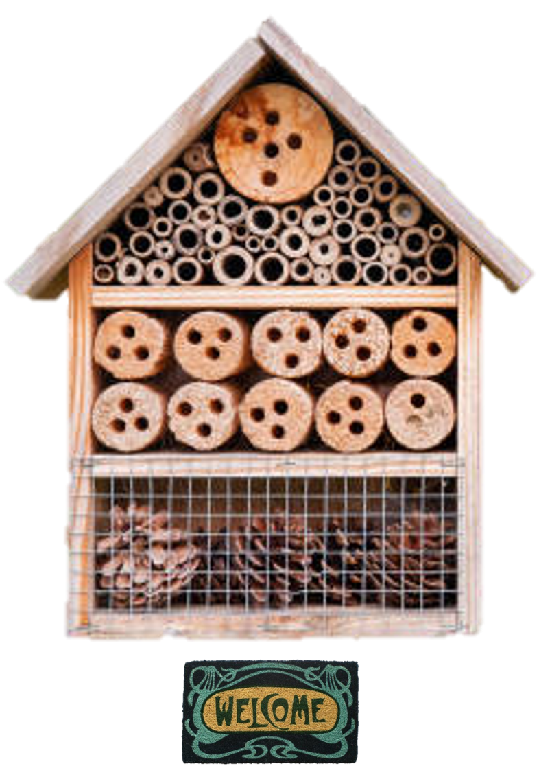 A smaller bug hotel: Jun's Home