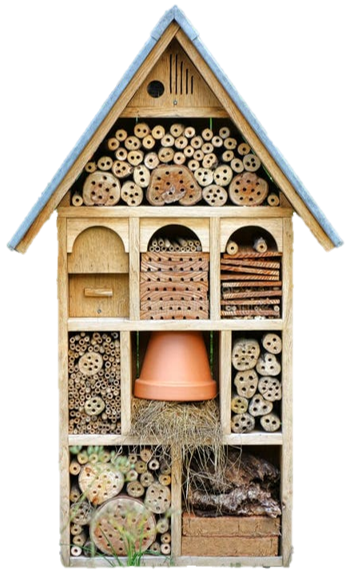 A large bug hotel: The Neighbor's House